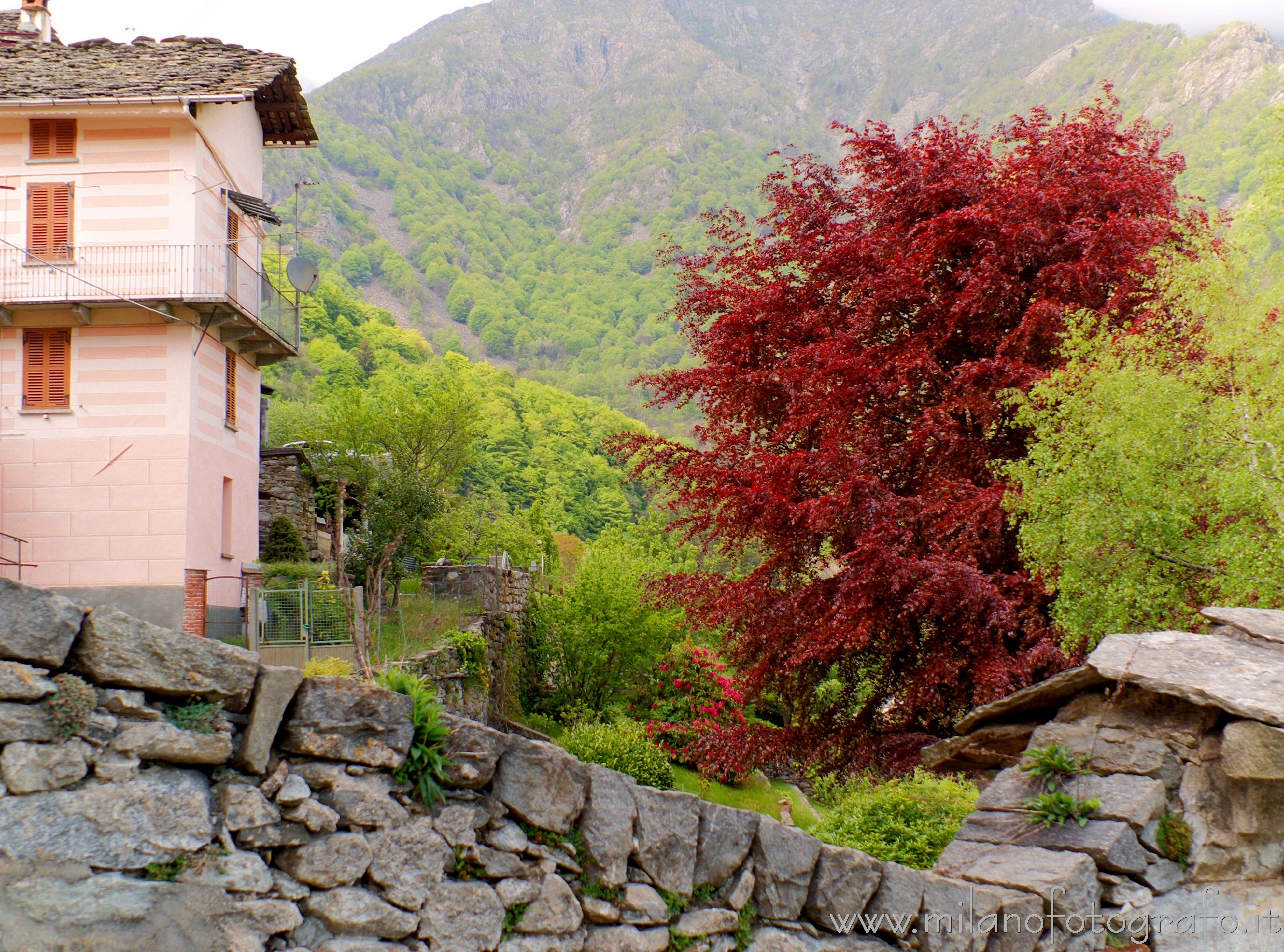 Piedicavallo (Biella) - Colori della tarda primavera nella frazione Montesinaro